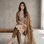 Embroidered Designer Suit with Sheer Dupatta | Premium Festive Wear