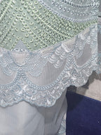 Embroidered Organza Sleeves with 3D Flowers Sky Blue Suit Alkareem